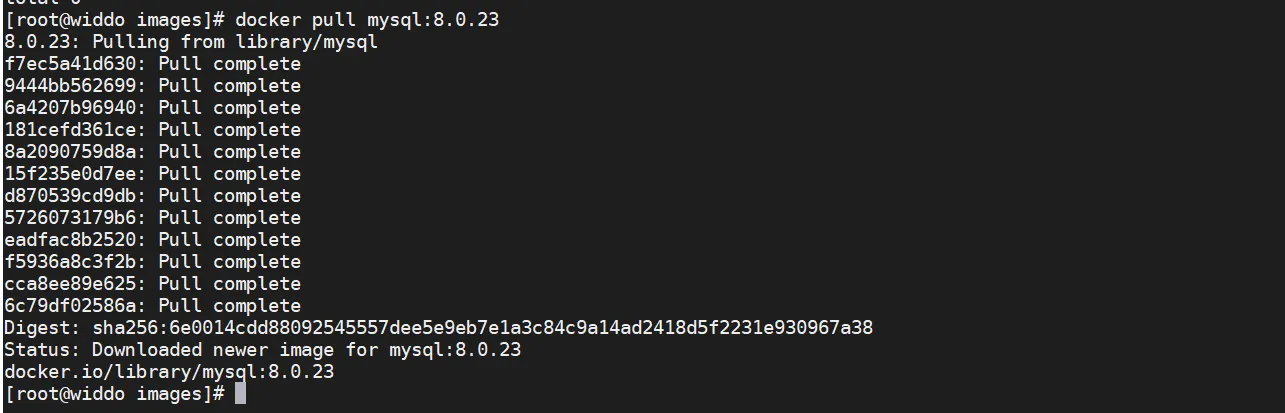 image-20230322104908762