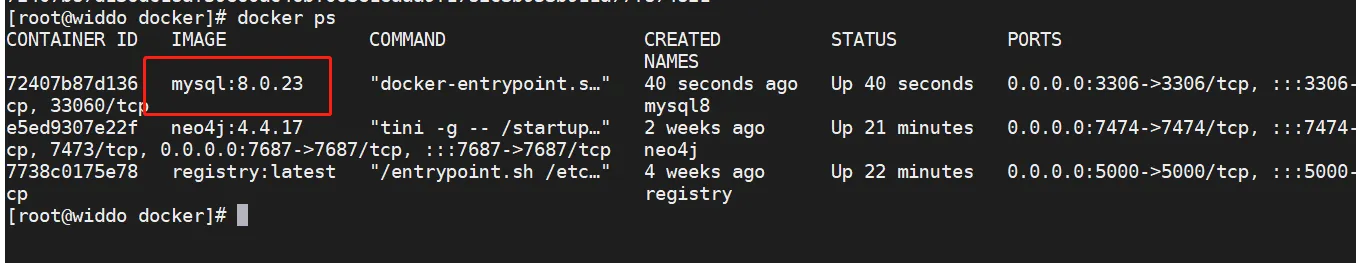 image-20230322110153427