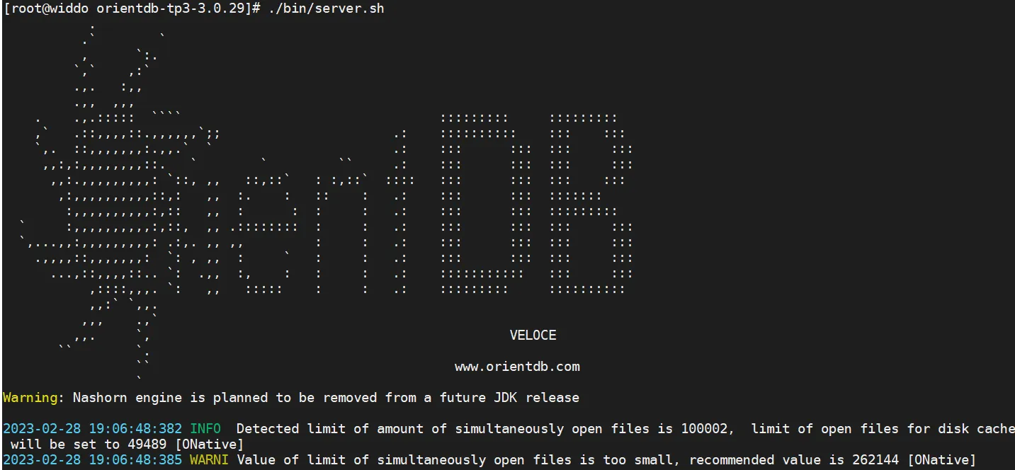 image-20230228190701473