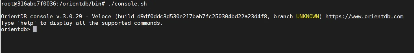 image-20230228174815738