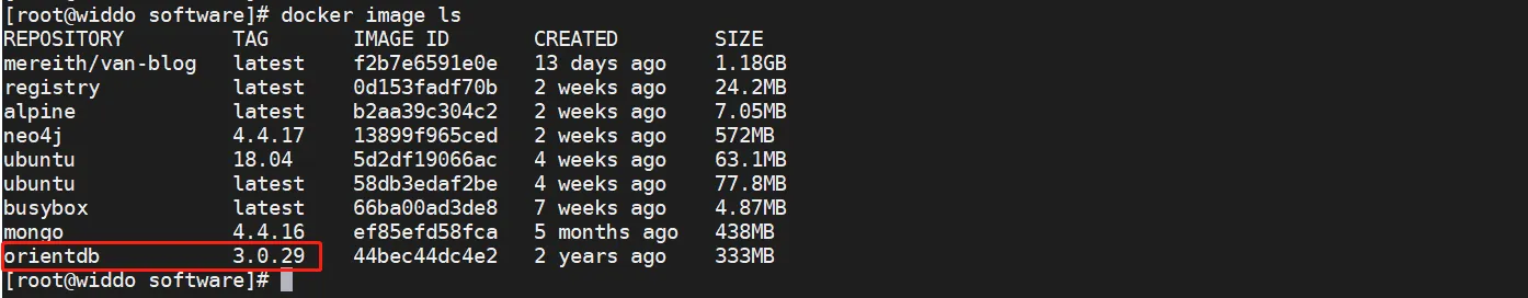 image-20230228170452022